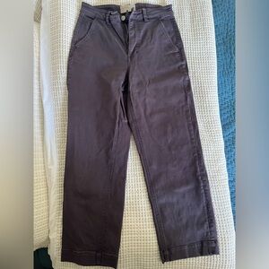 Everlane purple ankle length pants